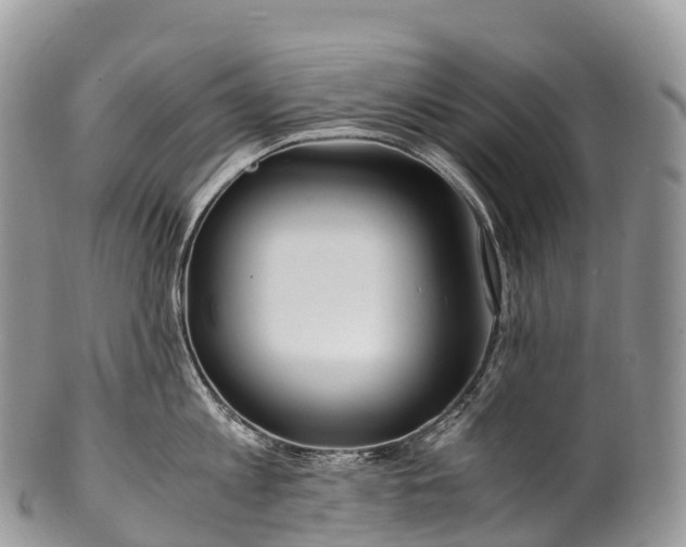 X0000100380813200806201649
