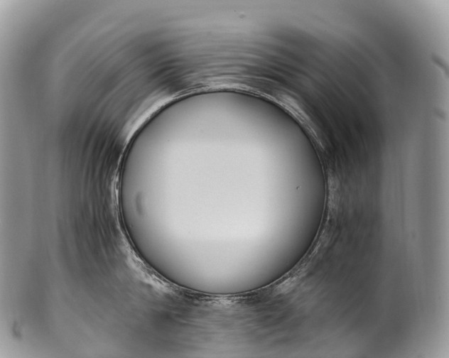 X0000100380814200806201649