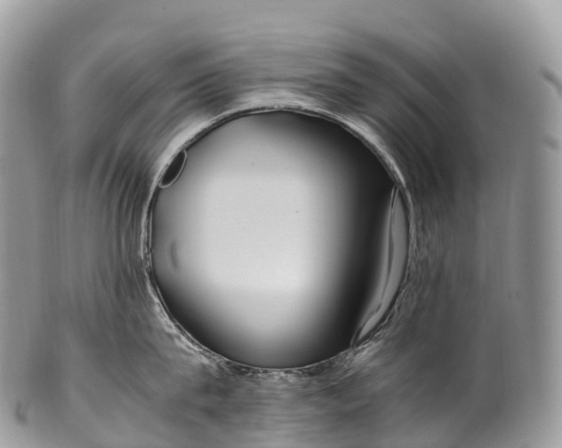 X0000100380815200806201649
