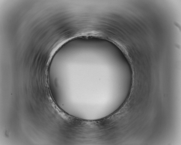 X0000100380816200806201649