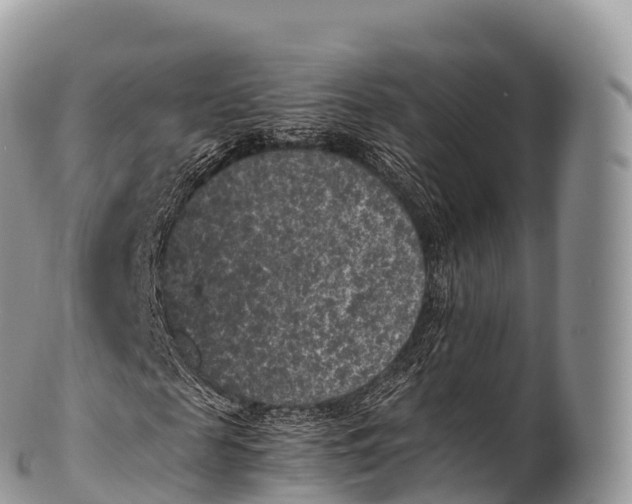 X0000100380817200806201648