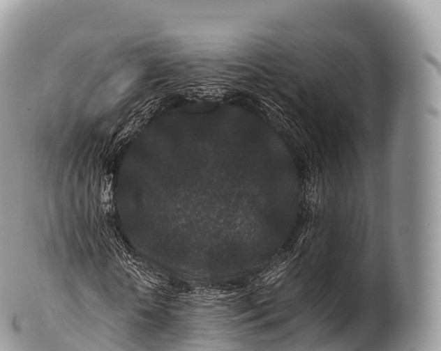 X0000100380818200806201648