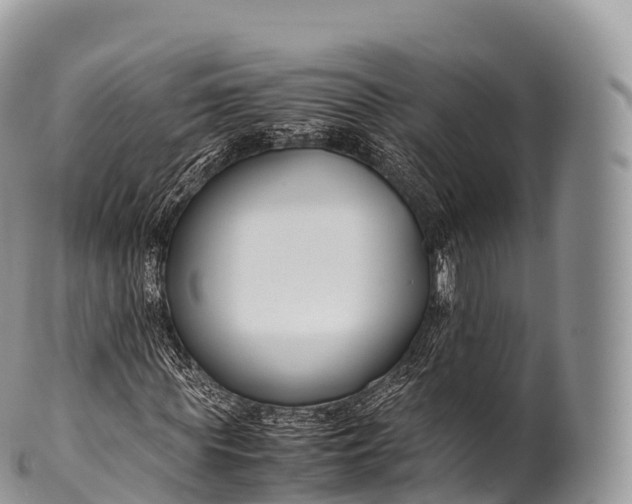 X0000100380819200806201648