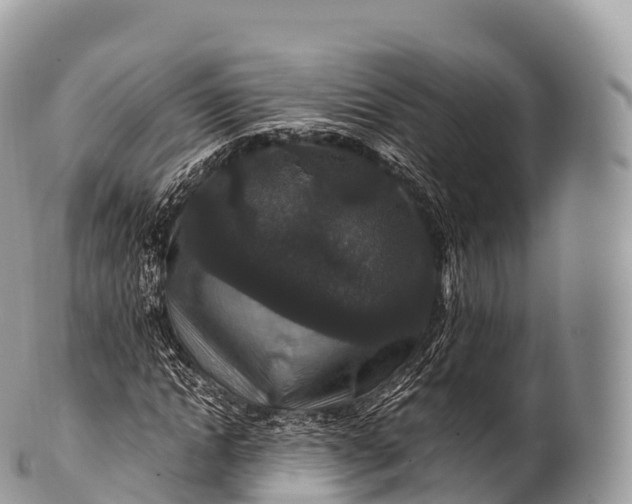 X0000100380822200806201648