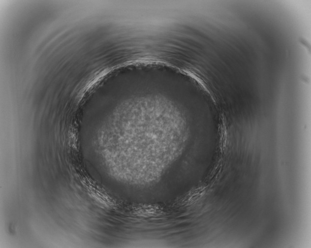 X0000100380823200806201648