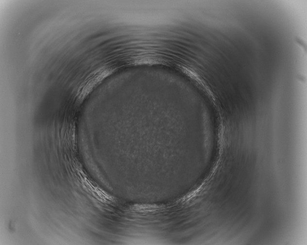 X0000100380825200806201648