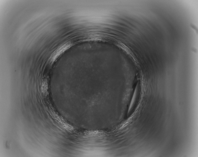 X0000100380826200806201648