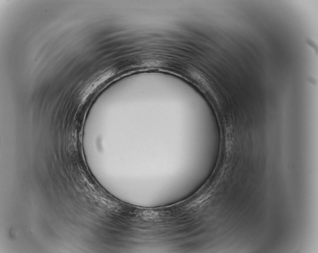X0000100380827200806201648
