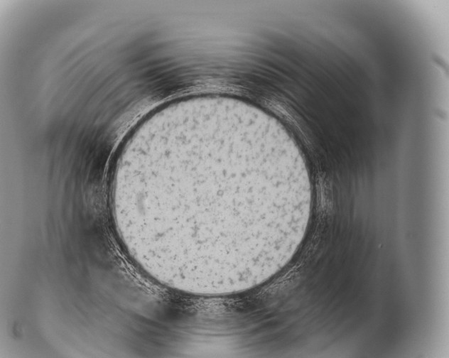 X0000100380828200806201648