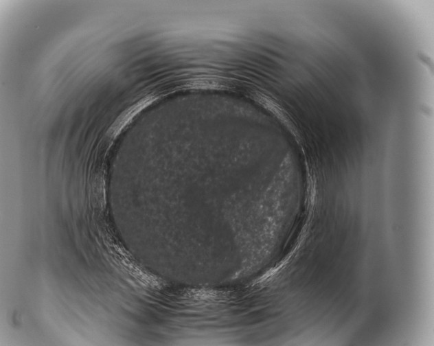 X0000100380829200806201648
