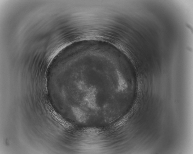 X0000100380830200806201648