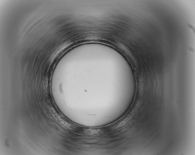 X0000100380831200806201648