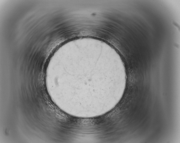 X0000100380832200806201648