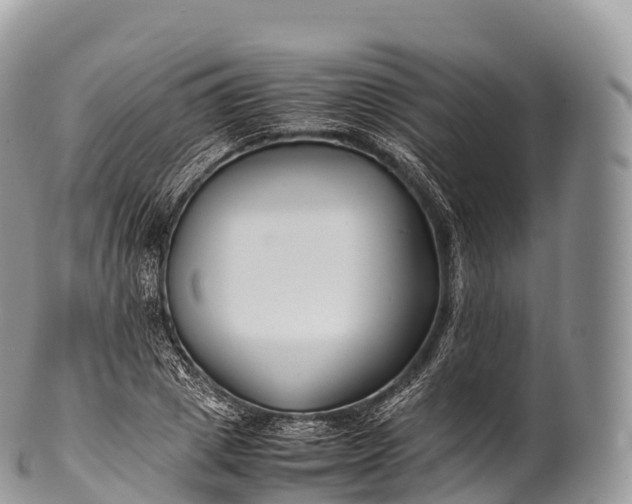 X0000100380833200806201648