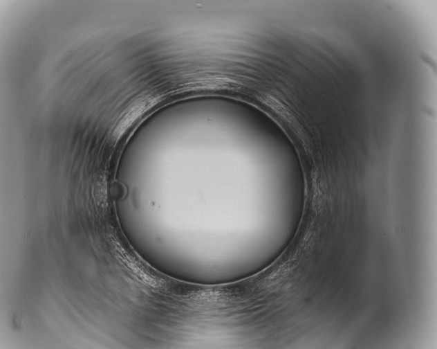 X0000100380834200806201648
