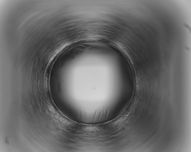 X0000100380835200806201648