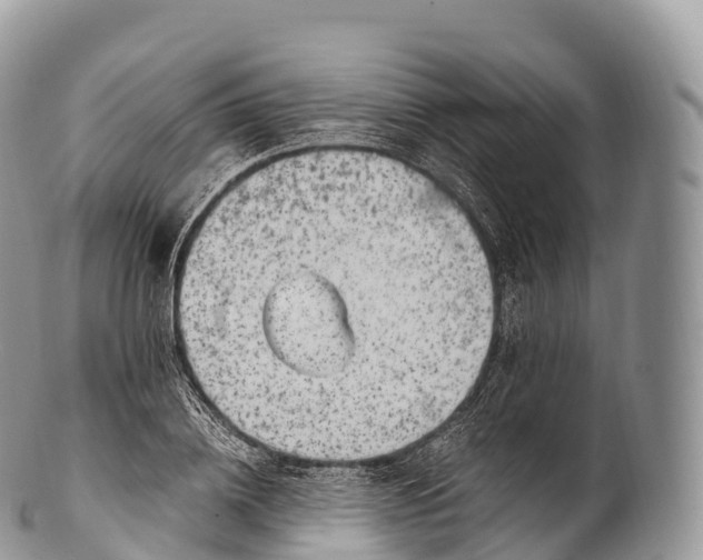 X0000100380836200806201648