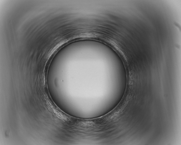 X0000100380837200806201648