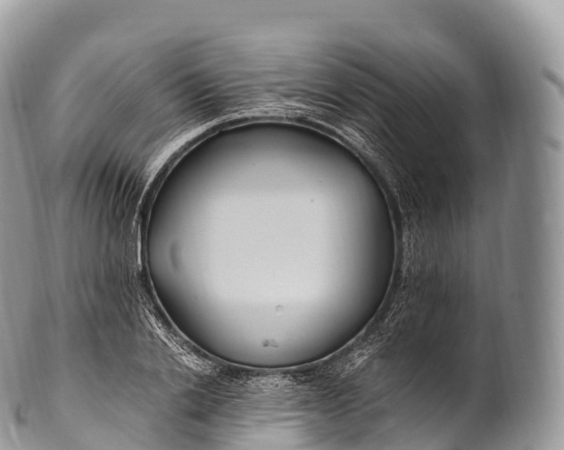 X0000100380838200806201648