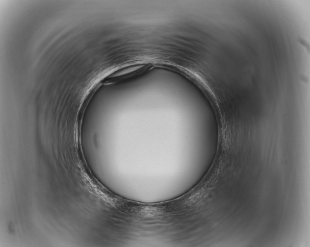 X0000100380839200806201648