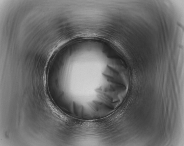 X0000100380840200806201648