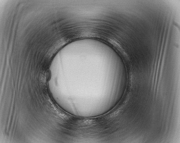 X0000100380841200806201648