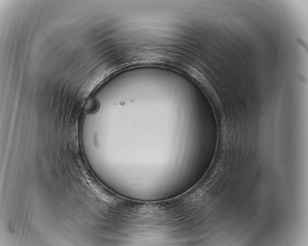 X0000100380842200806201648