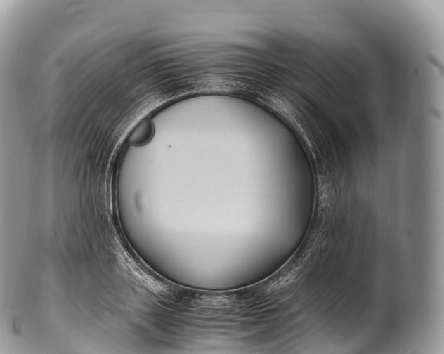 X0000100380843200806201648