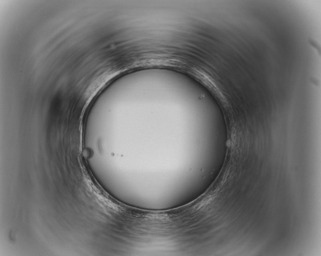 X0000100380844200806201648