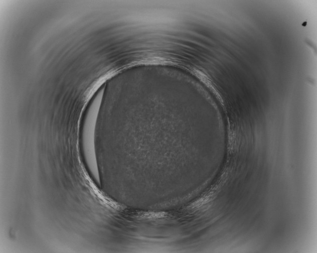X0000100380845200806201648