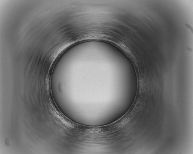 X0000100380846200806201648