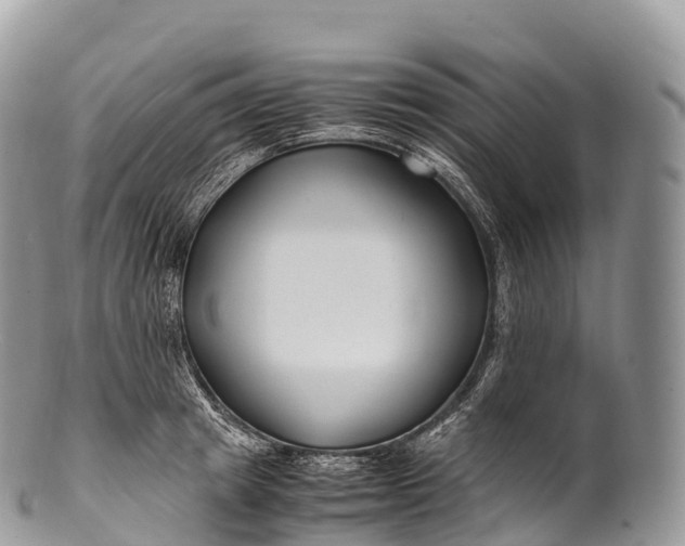 X0000100380849200806201648