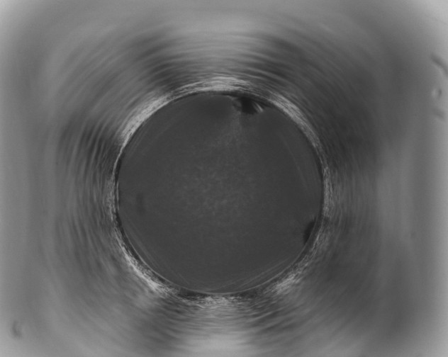 X0000100380850200806201648