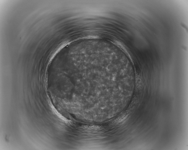 X0000100380851200806201648