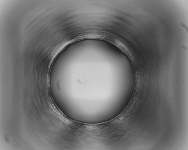 X0000100380852200806201648