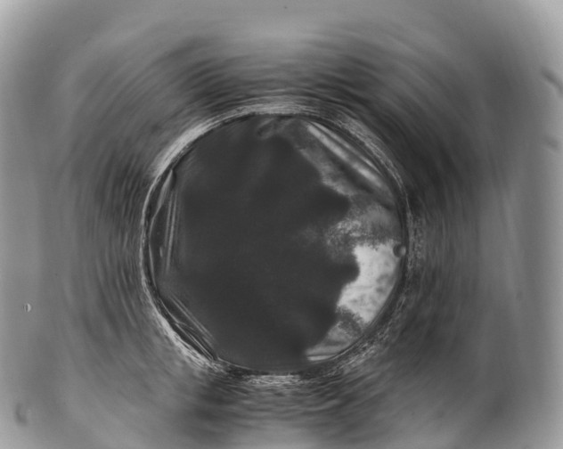X0000100380853200806201648
