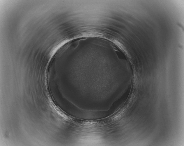 X0000100380854200806201649
