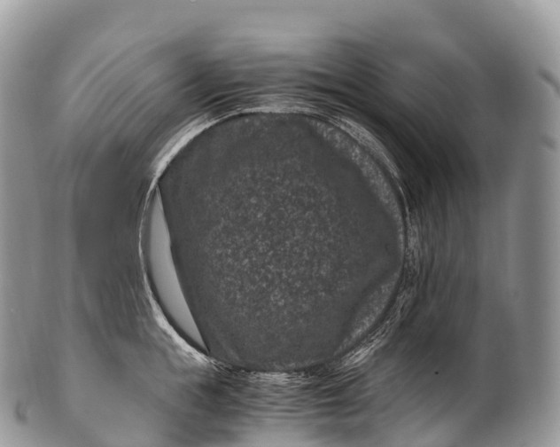 X0000100380855200806201649