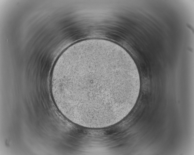 X0000100380856200806201649