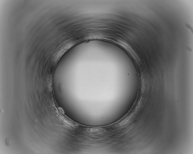 X0000100380857200806201649