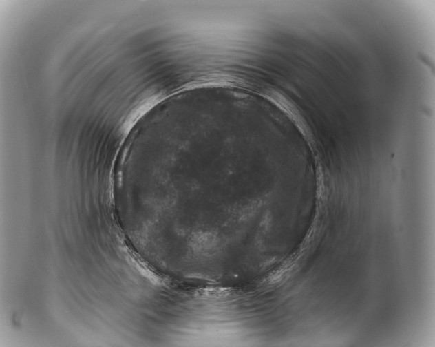 X0000100380858200806201649