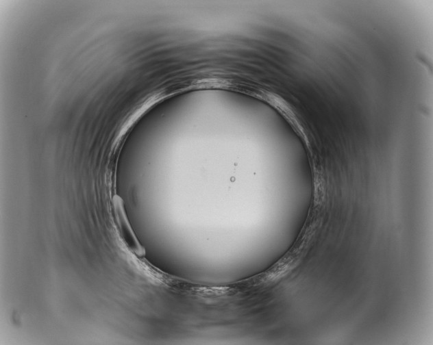 X0000100380859200806201649