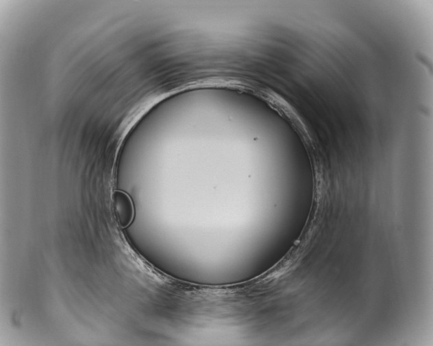X0000100380860200806201649