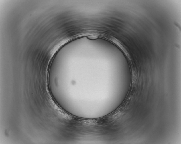 X0000100380861200806201649