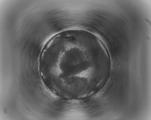 X0000100380862200806201649