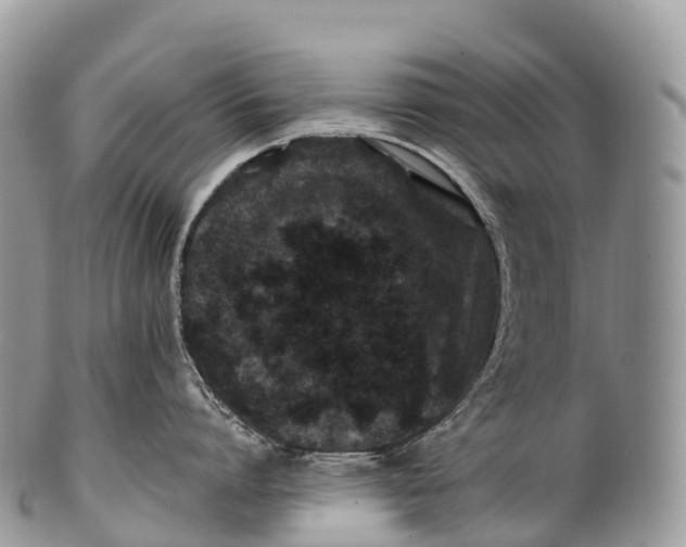 X0000100380864200806201649