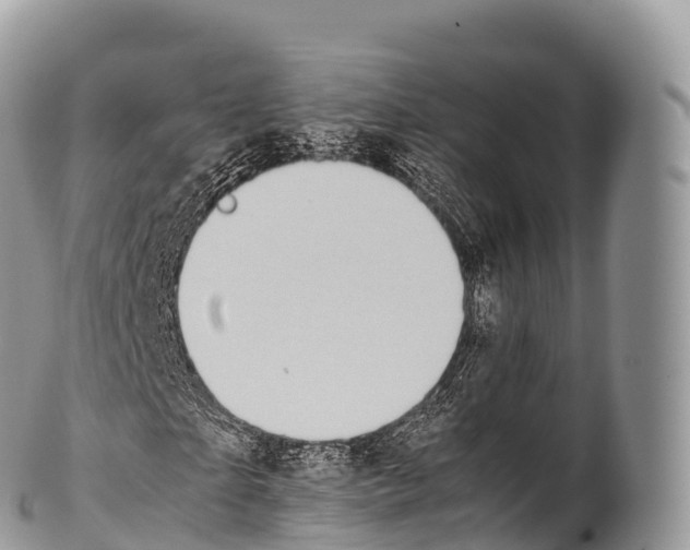X0000100380865200806201648