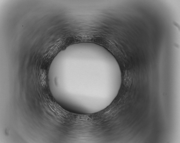 X0000100380866200806201648