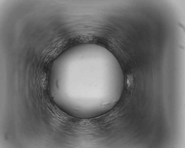 X0000100380867200806201648