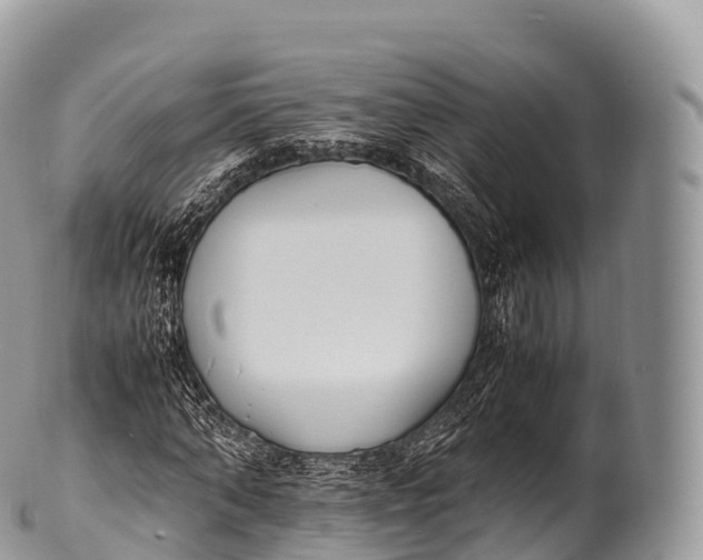 X0000100380870200806201648